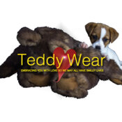 TeddyWear Branding