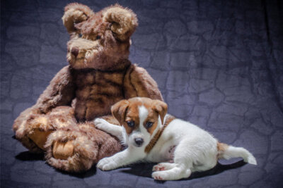 Dennis with Teddy