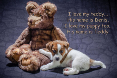 I love my teddy