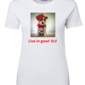 Live in good elf